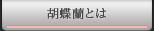�Ӓ����Ƃ́H