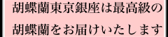花の大きさ