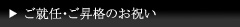 ���A�C�����i