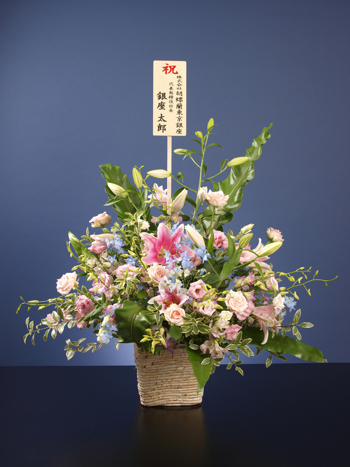 �A�����W�����g1.5���~�R�[�X